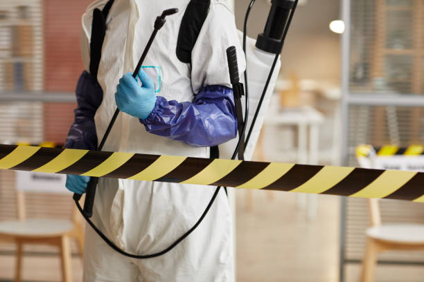 Professional Hoarding Cleanup technician working in Knoxville, IL